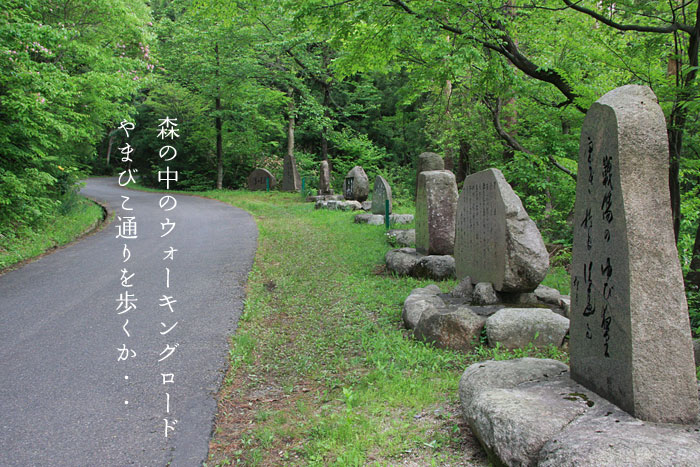 五頭温泉郷のウォーキングコース1