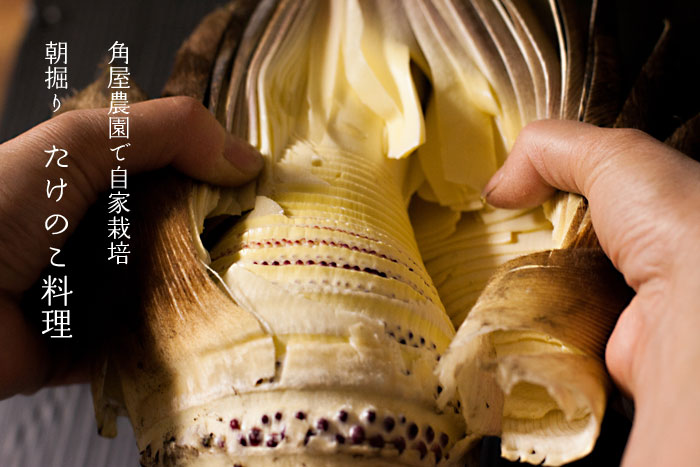 たけのこコース