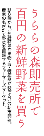 うららの森で百円の野菜を買う