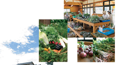 新鮮野菜の100円市