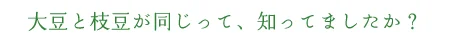 大豆と枝豆が同じって、知ってましたか？