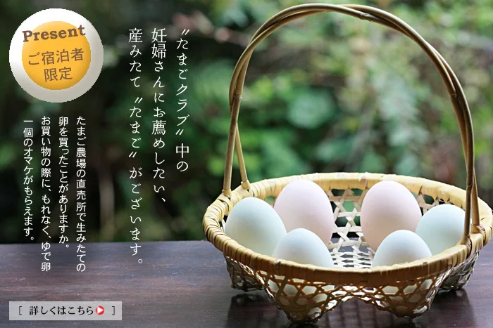 妊婦さんにお薦めしたい、生みたての“たまご”がございます。