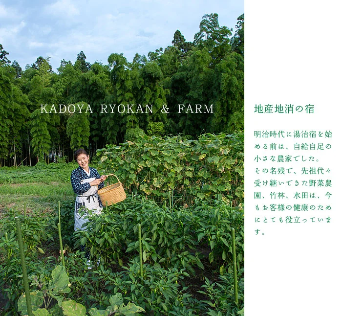 地産地消のこだわり