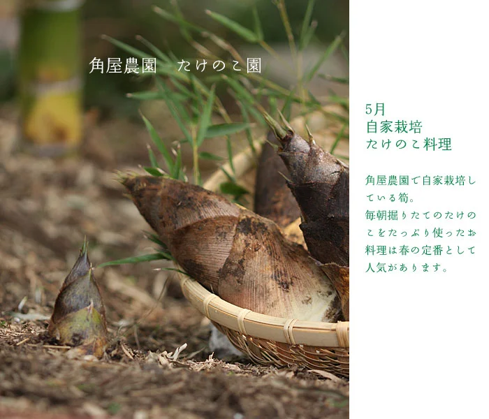 自家栽培の野菜