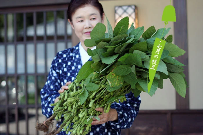 村杉温泉の野菜即売所で買った枝豆