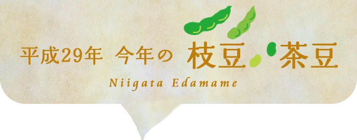 新潟県の枝豆サーモンおにぎり