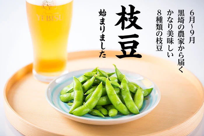 新潟の枝豆　始まりました