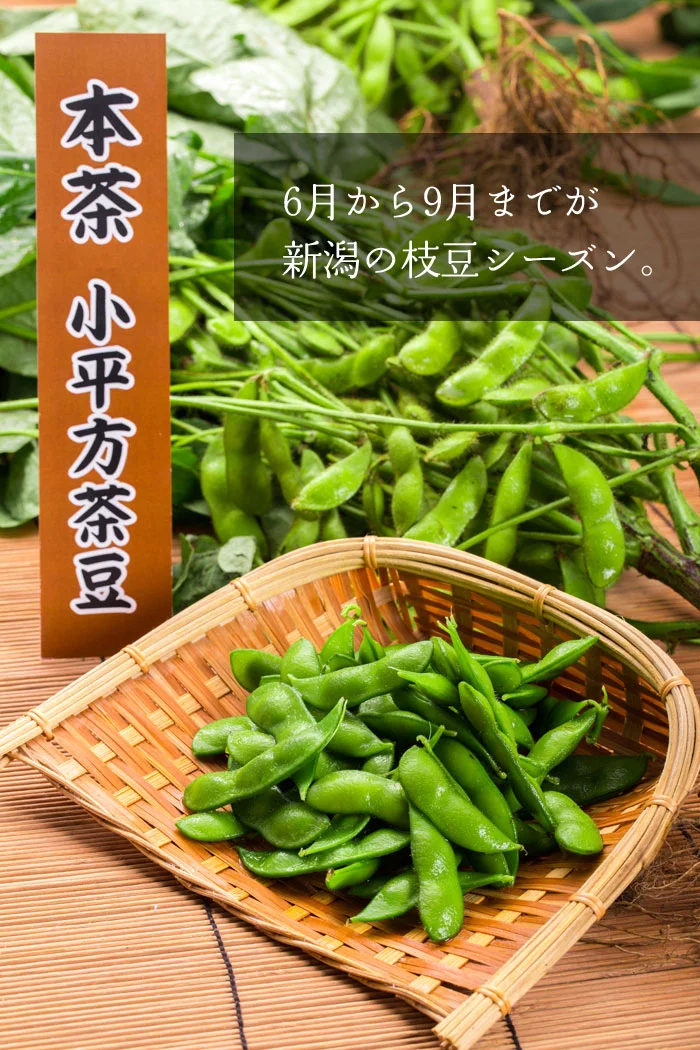 黒埼茶豆　新潟の枝豆