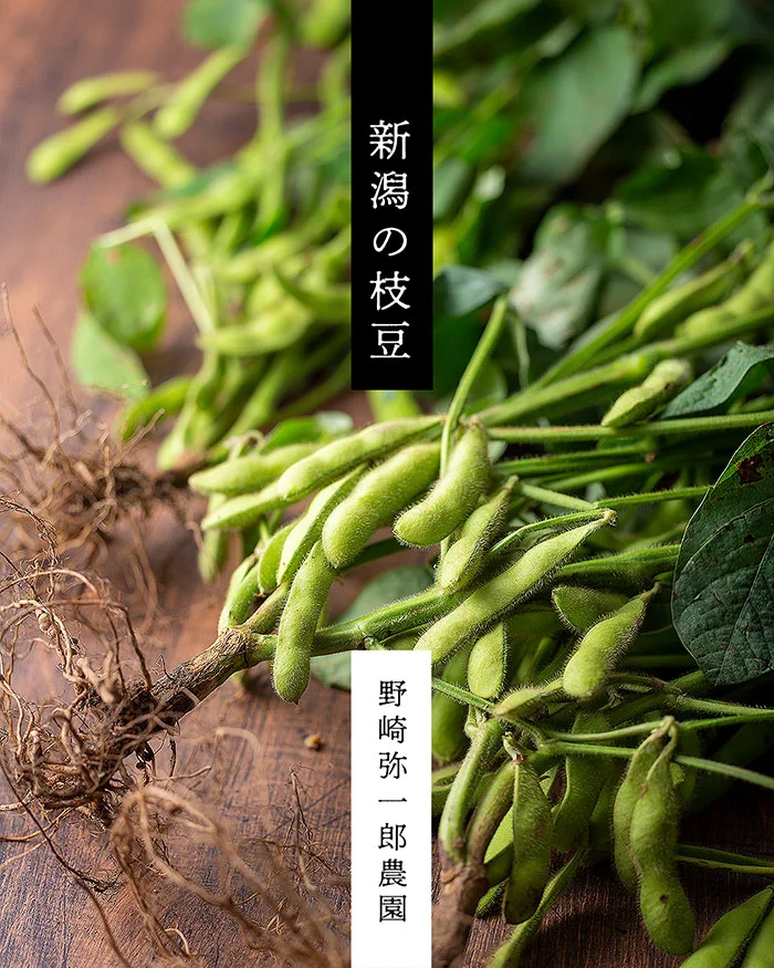 新潟県の枝豆　黒埼