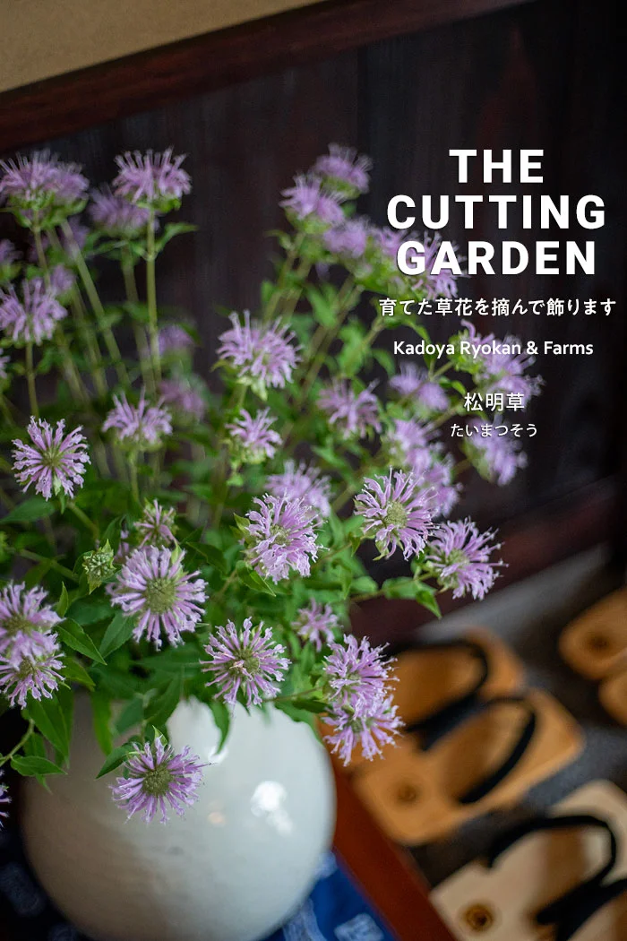 角屋旅館　角屋農園　Kadoya Ryokan & Farms　カッティングガーデン　CUTTING　GARDEN　育てた草花を摘んで飾ります