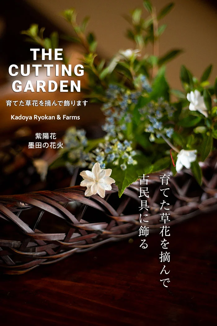 角屋旅館　角屋農園　Kadoya Ryokan & Farms　カッティングガーデン　CUTTING　GARDEN　育てた草花を摘んで飾ります
