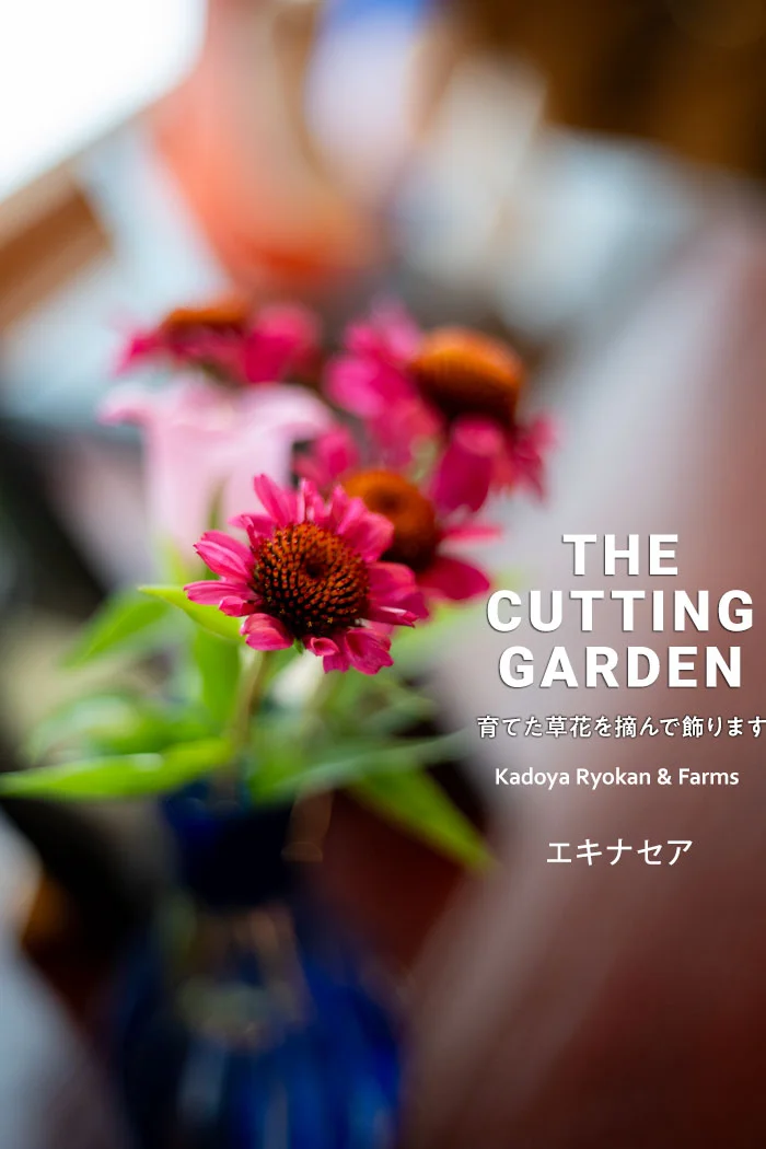 角屋旅館　角屋農園　Kadoya Ryokan & Farms　カッティングガーデン　CUTTING　GARDEN　育てた草花を摘んで飾ります