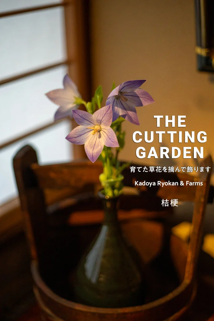 角屋旅館　角屋農園　Kadoya Ryokan & Farms　カッティングガーデン　CUTTING　GARDEN　育てた草花を摘んで飾ります