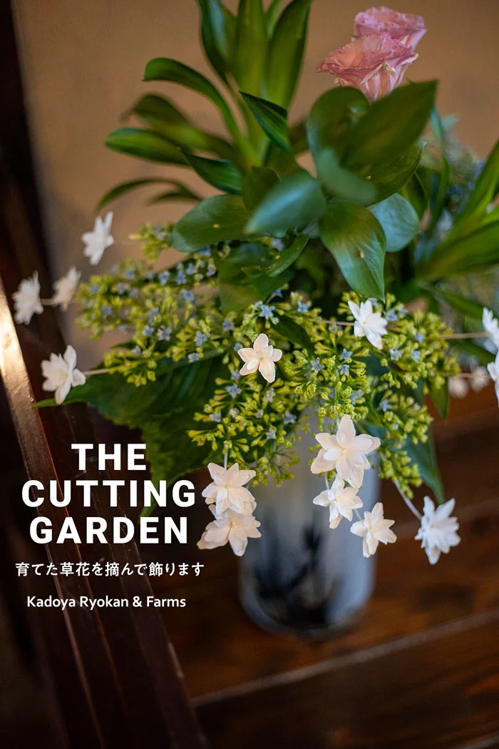 角屋旅館　角屋農園　Kadoya Ryokan & Farms　カッティングガーデン　CUTTING　GARDEN　育てた草花を摘んで飾ります