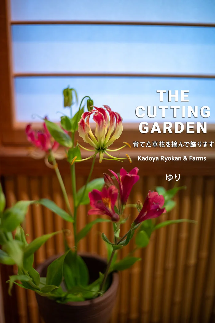 角屋旅館　角屋農園　Kadoya Ryokan & Farms　カッティングガーデン　CUTTING　GARDEN　育てた草花を摘んで飾ります