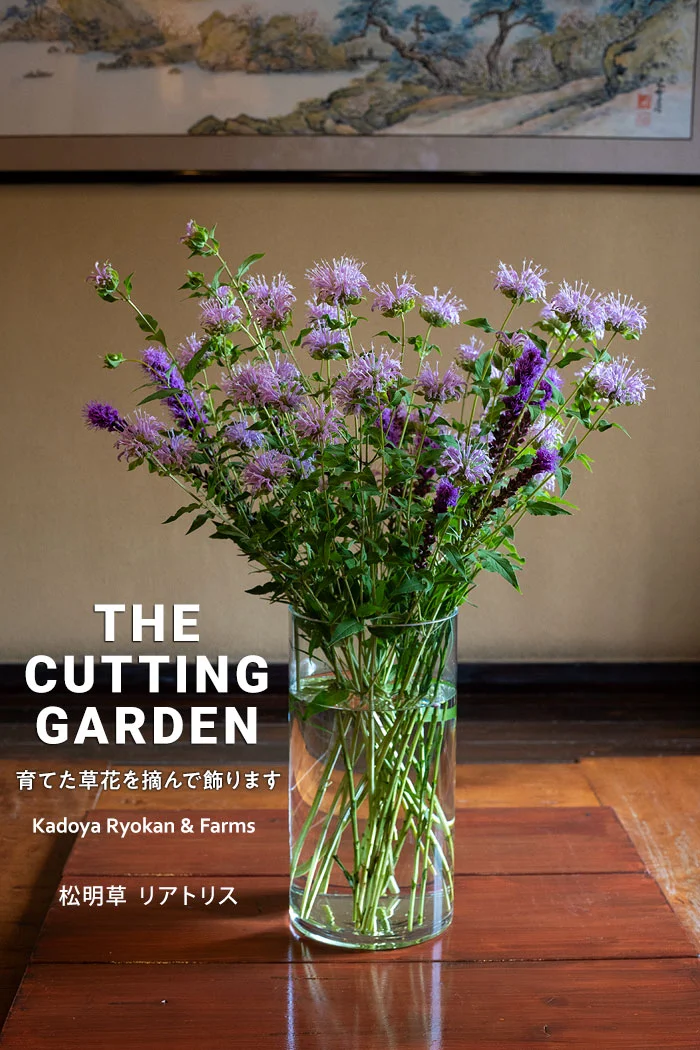 角屋旅館　角屋農園　Kadoya Ryokan & Farms　カッティングガーデン　CUTTING　GARDEN　育てた草花を摘んで飾ります