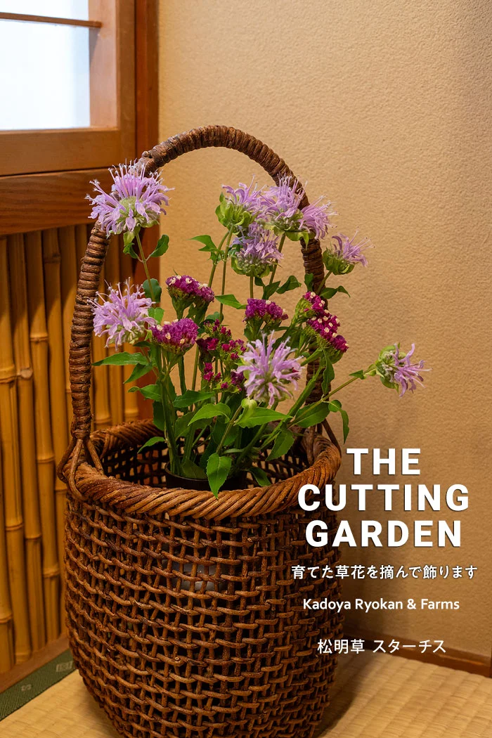 角屋旅館　角屋農園　Kadoya Ryokan & Farms　カッティングガーデン　CUTTING　GARDEN　育てた草花を摘んで飾ります