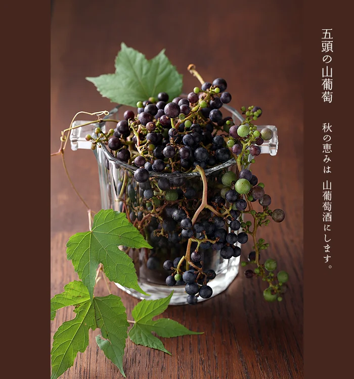 山葡萄