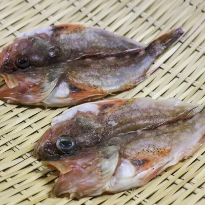 角屋旅館 お料理