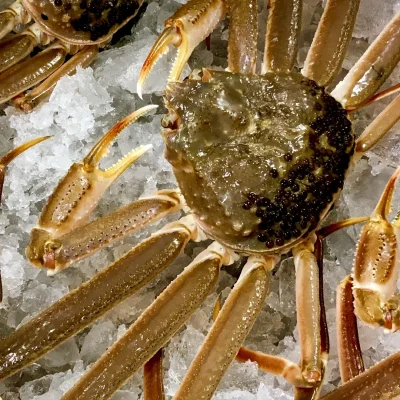 角屋旅館 お料理