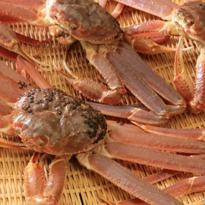 角屋旅館 お料理