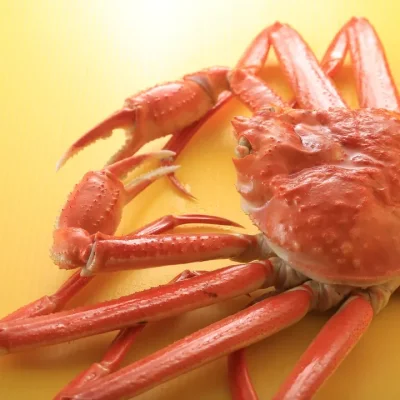 角屋旅館 お料理