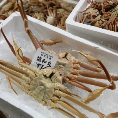 角屋旅館 お料理