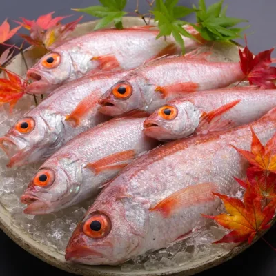 角屋旅館 お料理