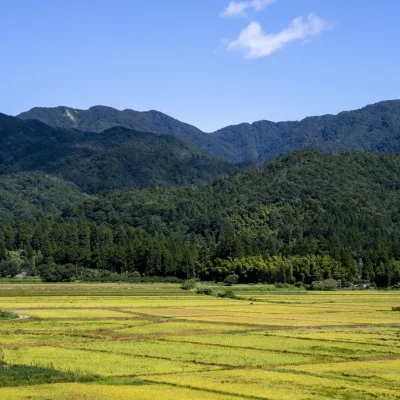 角屋旅館 お料理