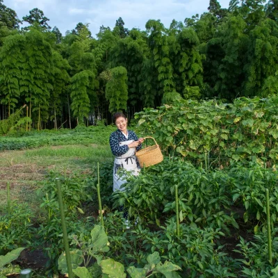 角屋旅館 お料理