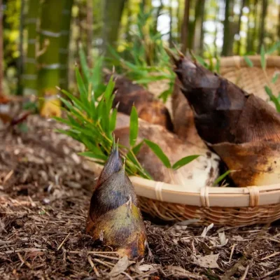 角屋旅館 お料理