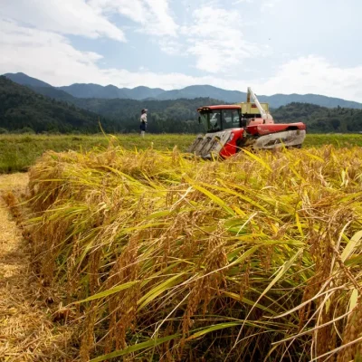 角屋旅館 お料理