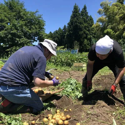 角屋旅館 お料理