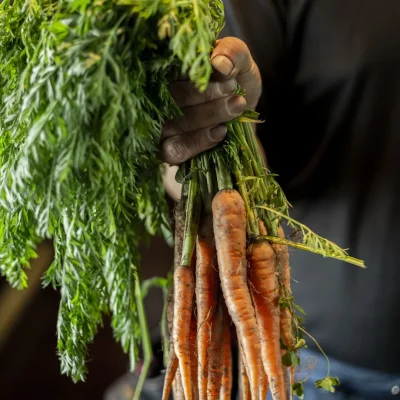 角屋旅館 お料理