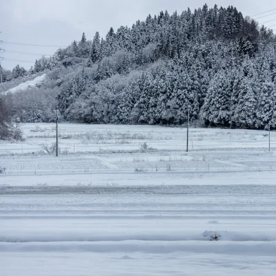 角屋旅館 雪景色