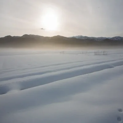 角屋旅館 雪景色