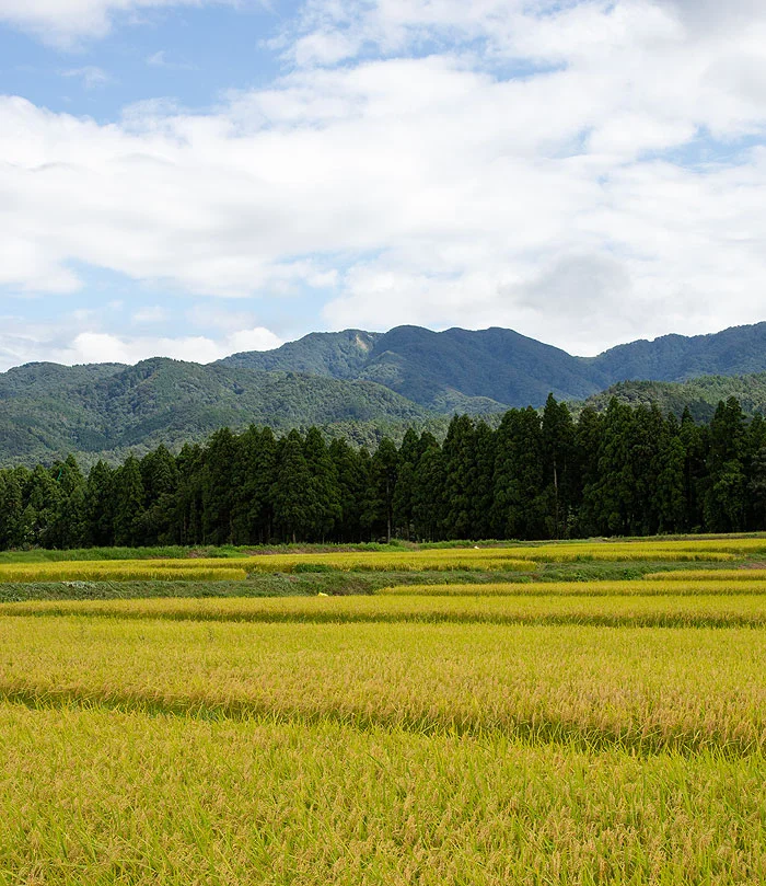 五つの峰を持つ霊峰五頭山
