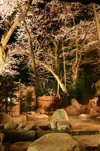 春・桜の露天風呂
