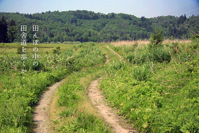 五頭温泉郷のウォーキングコース2