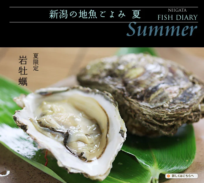 夏限定の新潟の岩がき