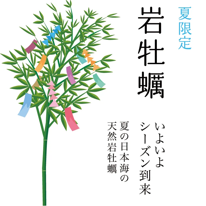 夏の新潟日本海　天然岩牡蠣シーズン到来