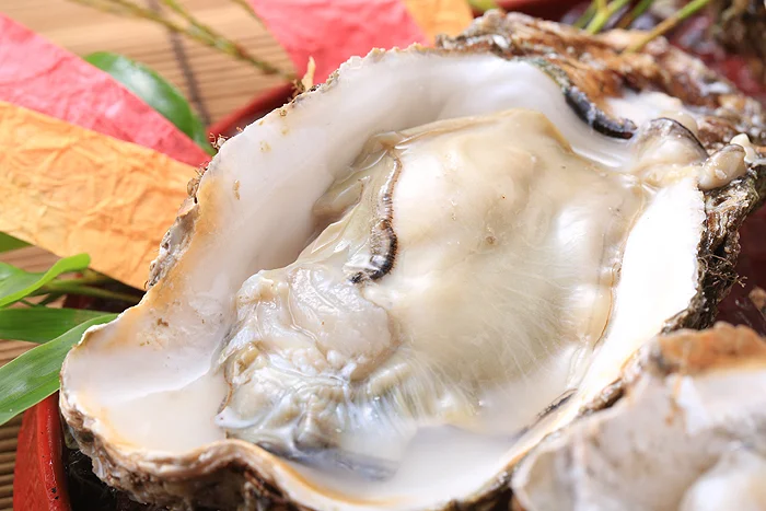 新潟の天然岩牡蠣2ヶ月限定
