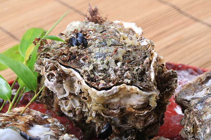 ごつごつした岩牡蠣