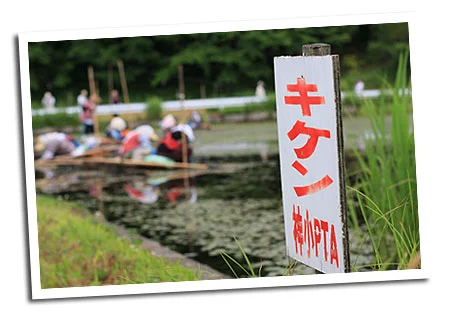 じゅんさい池公園　キケン看板