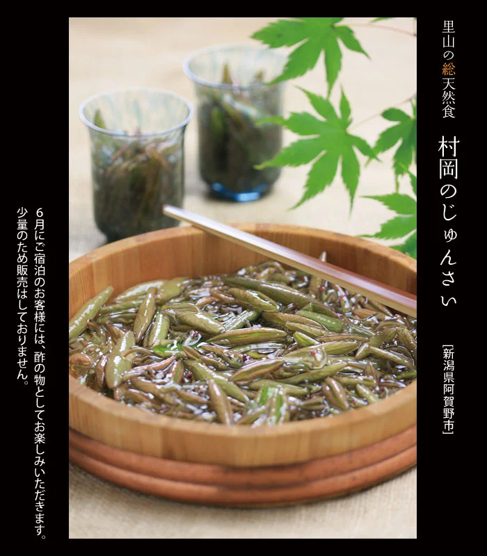 新潟県阿賀野市のじゅんさい