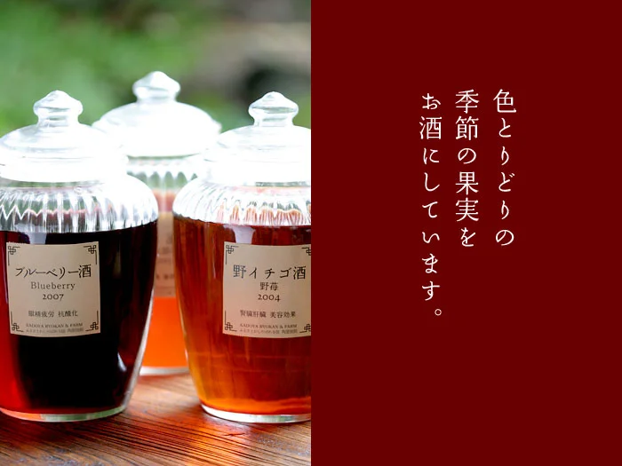 色とりどりの季節の果実を果実酒にしています
