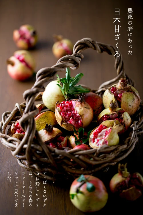 日本甘ざくろ