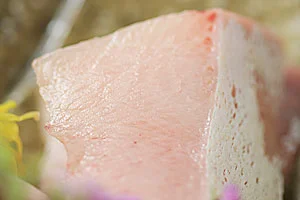 新潟佐渡の寒ブリ大トロ