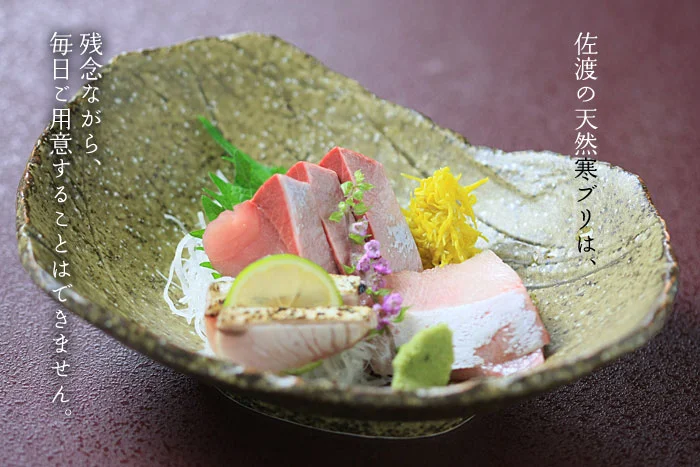 新潟佐渡　天然寒ブリ刺身