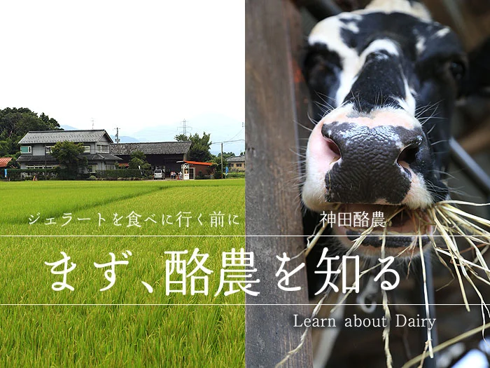神田酪農　まず酪農を知る